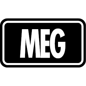 Logo Mega Evolution